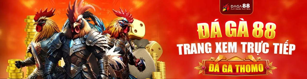 Đá Gà Trực Tuyến qh99 chính thức